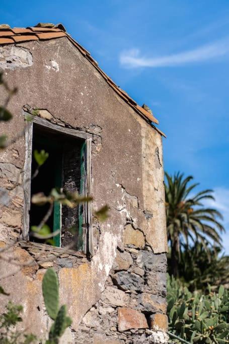 Vivienda Vacacional Rosa Blanca (Adults Only) Аруре Экстерьер фото